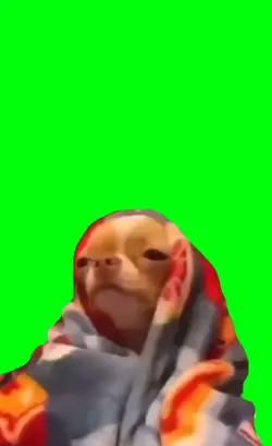 blanket dog