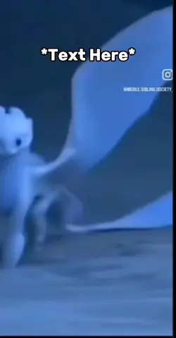 Dragon meme 
