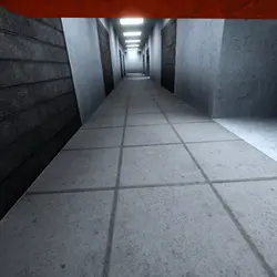 Run!!!