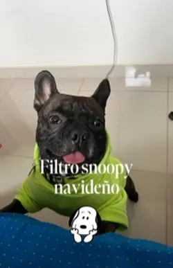 Filtro snoopy