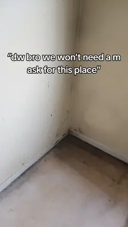 black mold yum