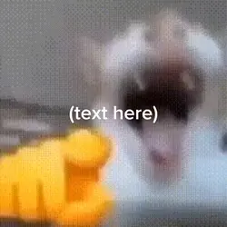 lol