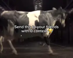 Dance cow