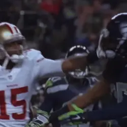 Free Seattle seahawk