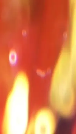 Viral vid