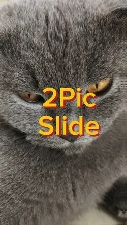 2 Pic Slide 