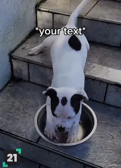 Falling dog