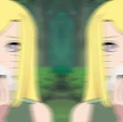 Ninja 
