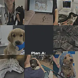 Plan A: Veterinarian