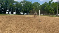 Poles