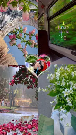 Layout Instagram 