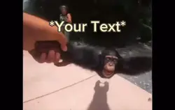 Monkey Spin meme