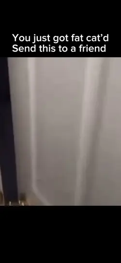 Fat cat