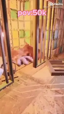 taking a break