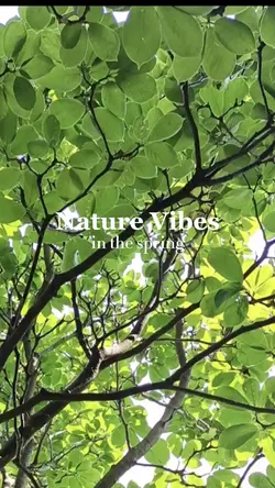 Spring + Nature 🌸