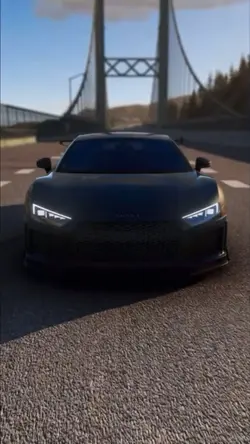 Audii