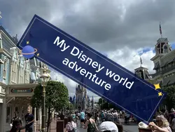 My Disney experience