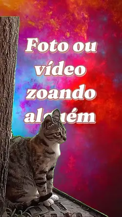 Susto do gato meme