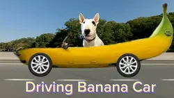 Driving Banana Car