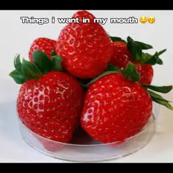 Things i want to eat