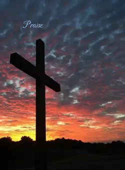 Praise❤️❤️