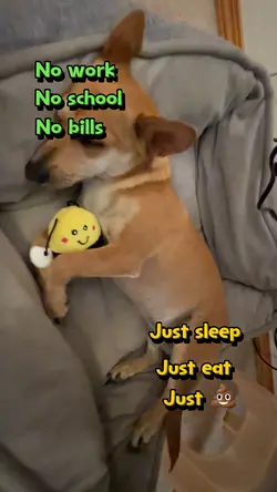 No Work