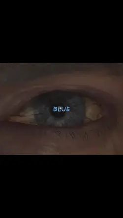 Everything is Blue
