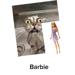 My Barbie