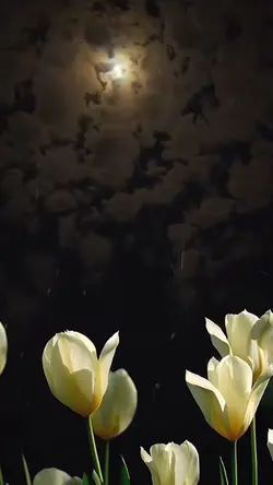 Lovely good nigh