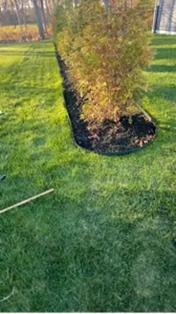 landscaping liner