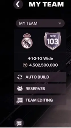Fifa team