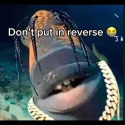 Don’t reverse 💀😭😭