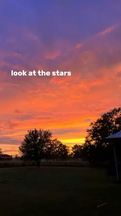 🕊️💔