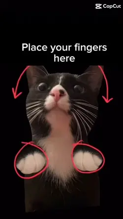 Place your fingers