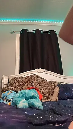 New tail!
