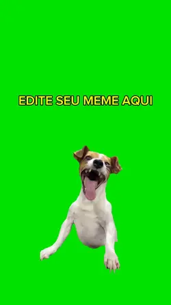 Meme cachorro rindo