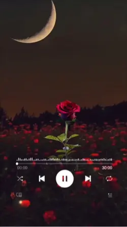 🥀PARA TI💔