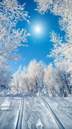 Winter Bells