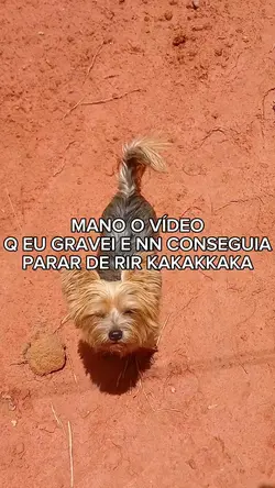 vou liberar o fundo