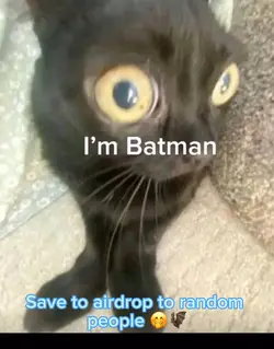 IM BATMAN