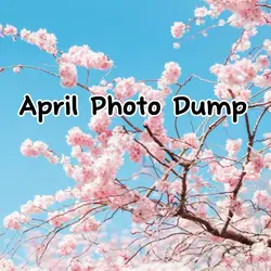 April photo dump 