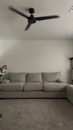 You messed u
