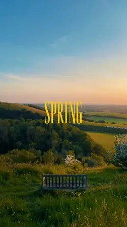 spring is bloomin