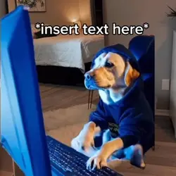 Dog Searching at PC