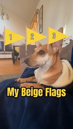 My Beige Flags