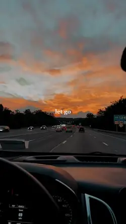 let go - ark patrol