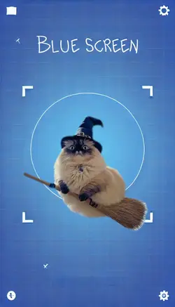 HARRY GATO