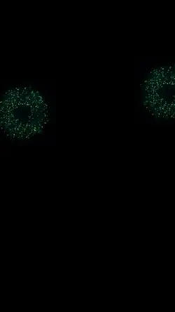Happy 4th 🙌
