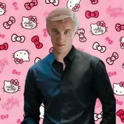 pookie cat trend 