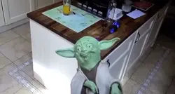 Yoda slap meme